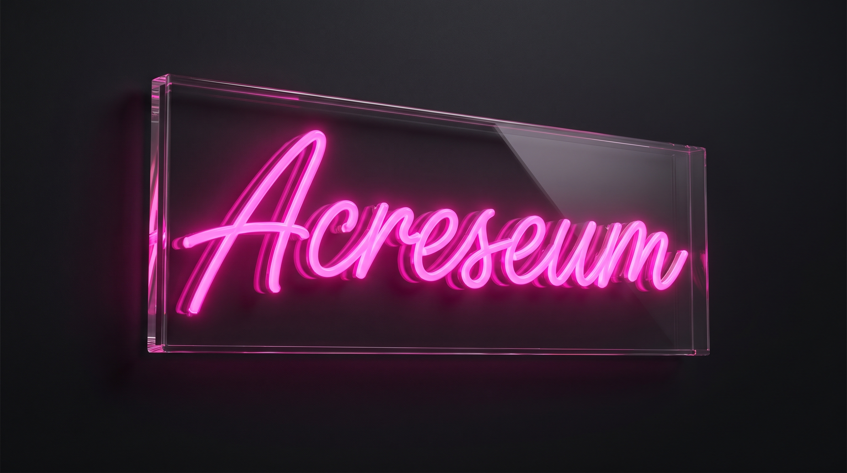 Custom LED Neon Sign  Personalised Home Decor Glowing Light Result